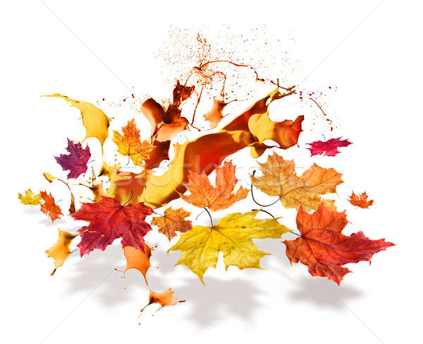 Cor colorido outono bordo folhas Foto stock © Anterovium