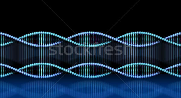 DNA helix cloning Stock photo © Anterovium
