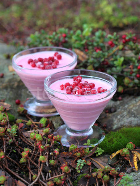 Fresh cranberry dessert in natural setup Stock photo © Anterovium