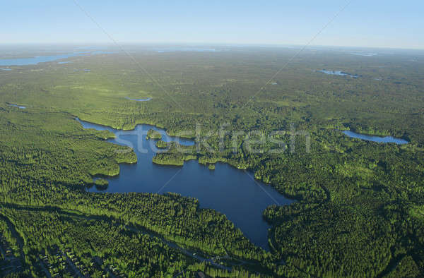 Pădure albastru verde natură pământ Imagine de stoc © Anterovium