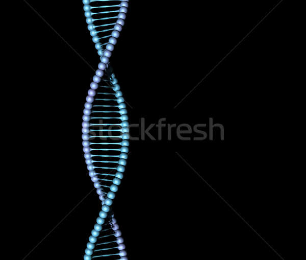 DNA siyah kod spiral Stok fotoğraf © Anterovium