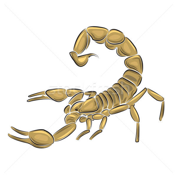 Skorpion odizolowany biały projektu zwierząt strach Zdjęcia stock © antkevyv