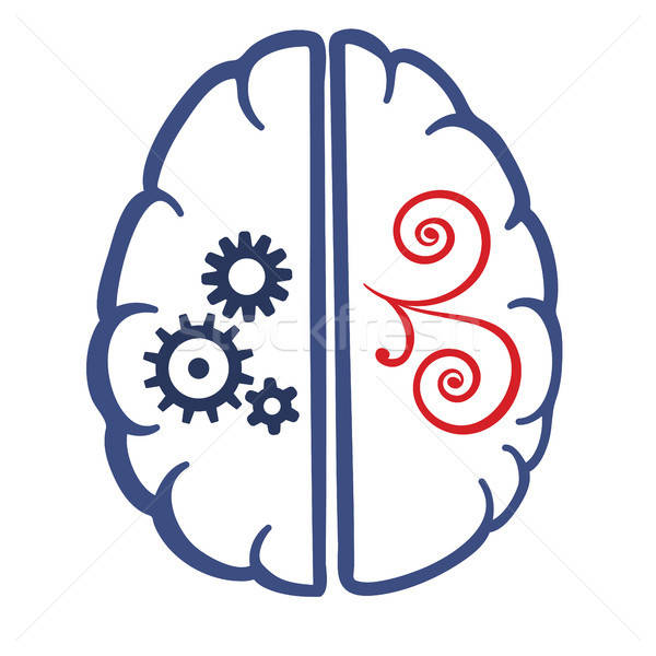 Doua creierul uman simbolic vector imagine Imagine de stoc © antkevyv