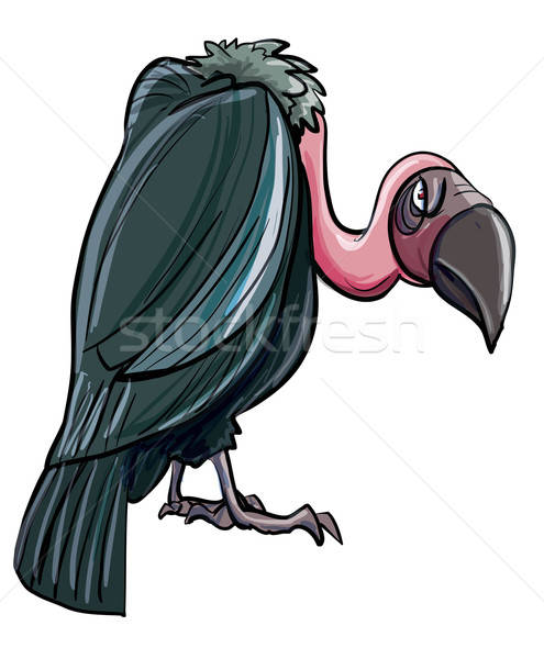 Cartoon male guardando avvoltoio isolato bianco Foto d'archivio © antonbrand