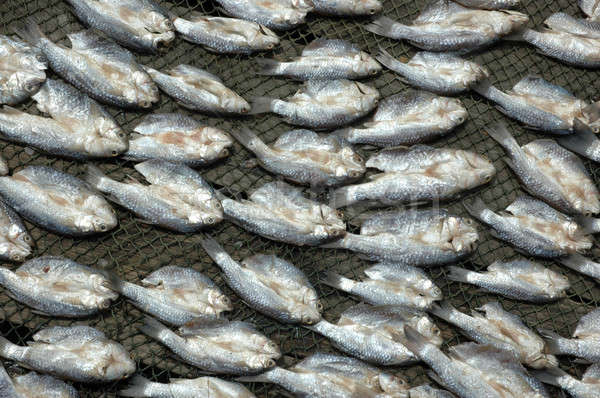 Muster trocken Fisch Essen Meer Gesundheit Stock foto © antonihalim