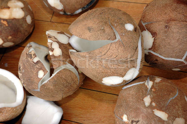 Kokosnüsse Textur Obst Sommer grünen Leben Stock foto © antonihalim