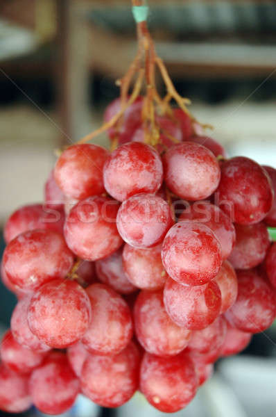Haufen Wein Obst Gruppe Farbe Stock foto © antonihalim