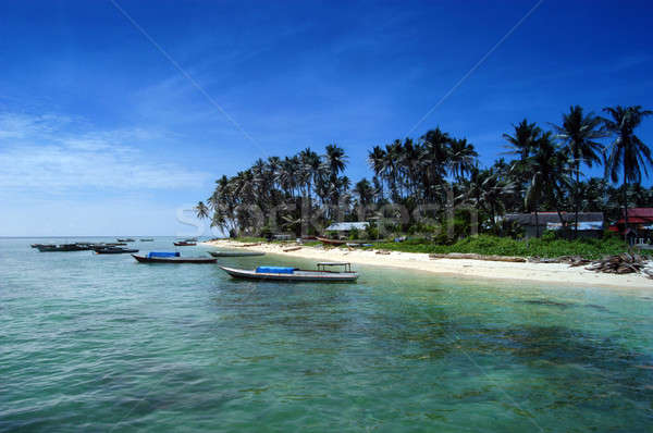 Insel ein Touristenattraktion östlichen Borneo Strand Stock foto © antonihalim