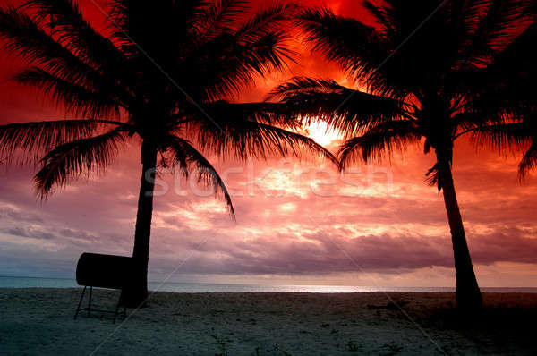 Silhuetas dois coco árvores vermelho céu Foto stock © antonihalim