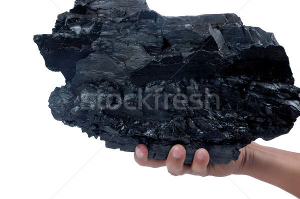 male hand holding a big lump of coal  Stock photo © antonihalim