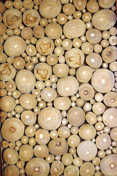 Muster Holz Stücke Wald abstrakten Hintergrund Stock foto © antonihalim