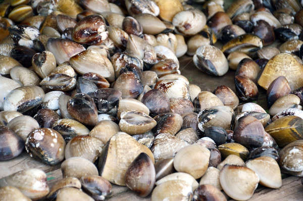Ruw schelpdier voedsel gezondheid diner markt Stockfoto © antonihalim