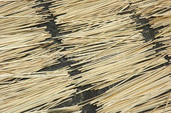 pieces of bamboo sticks Stock photo © antonihalim