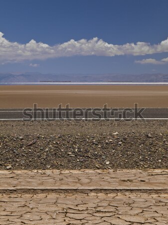Zestaw inny pustyni soli dziedzinie rock Zdjęcia stock © antonprado
