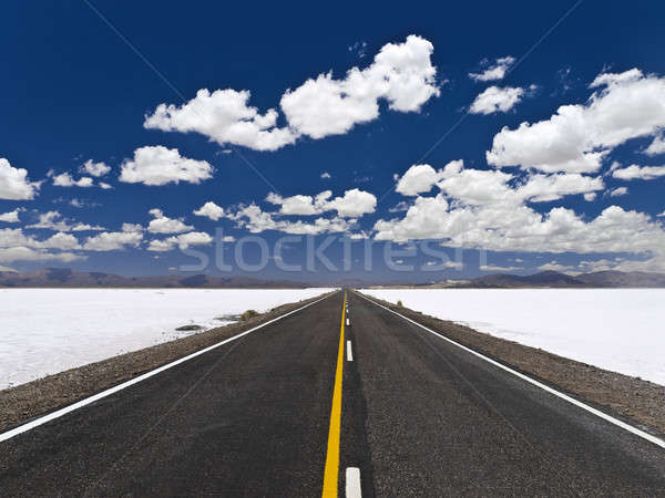 Infinite road Stock photo © antonprado