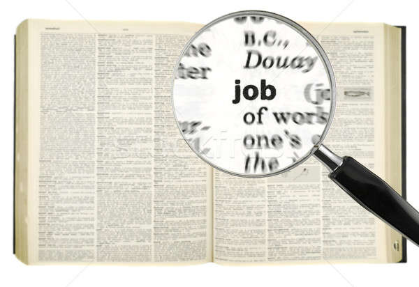 Suche Job Lupe Wort Wörterbuch isoliert Stock foto © antonprado