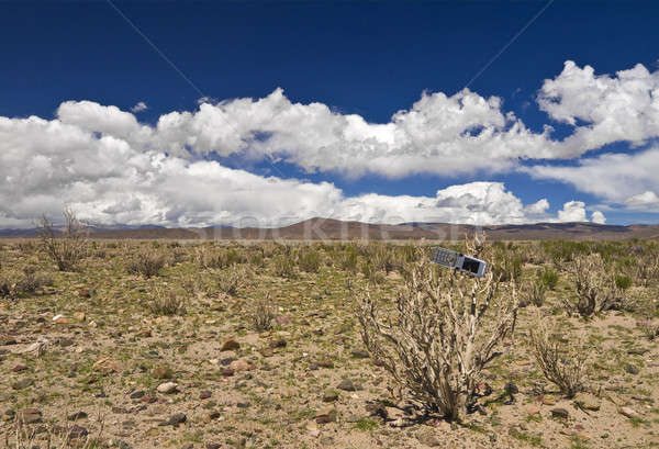 Stracił pustyni opuszczony martwych roślin Zdjęcia stock © antonprado