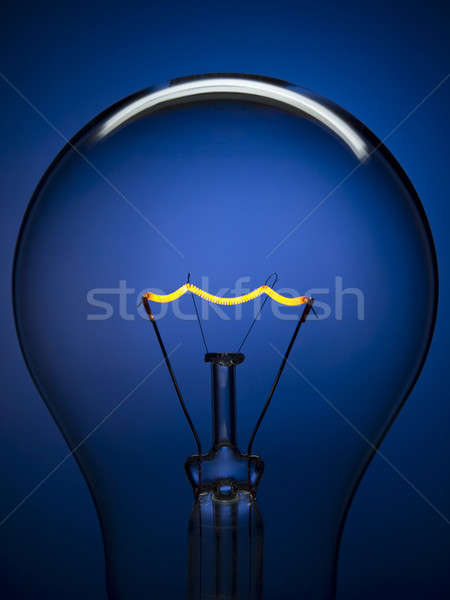 Villanykörte világoskék közelkép átlátszó villanykörte kék Stock fotó © antonprado