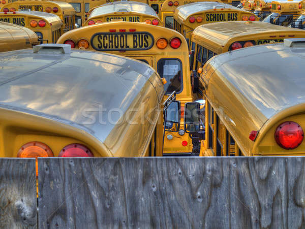 Schulbus Parkplatz mehrere Schule Bus Lichter Stock foto © antonprado
