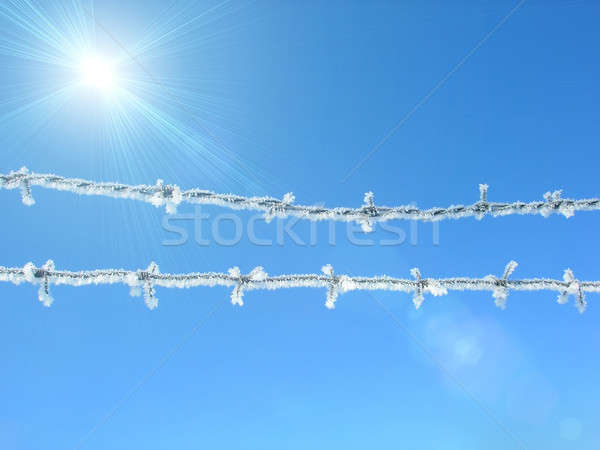 Barbed wire covered with snow Stock photo © anyunoff