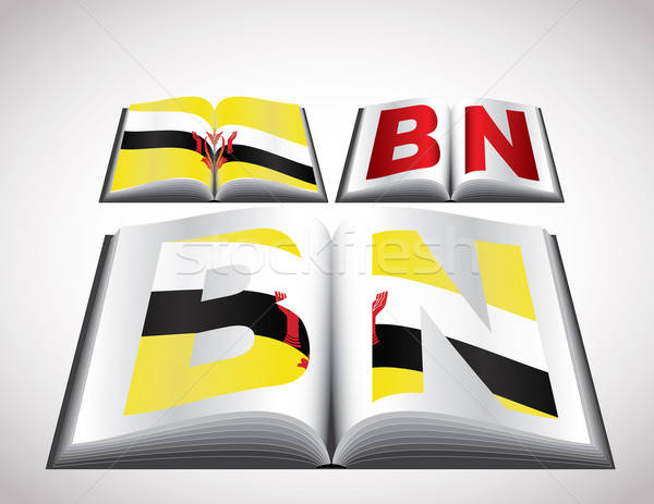 Bandera Brunei vector formato libro Foto stock © archymeder