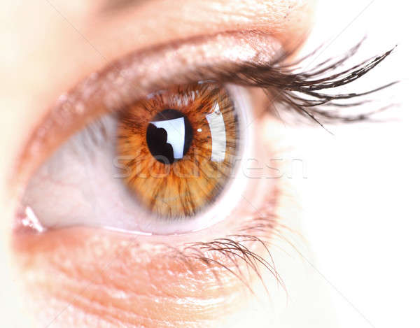 Femme oeil longtemps espace texte [[stock_photo]] © arcoss