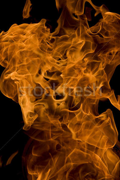 fire and flames on a black background Stock photo © arcoss