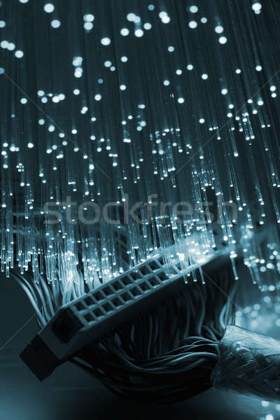 Fibre Optical Stock photo © arcoss