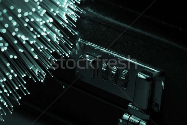 Fiber optical Stock photo © arcoss