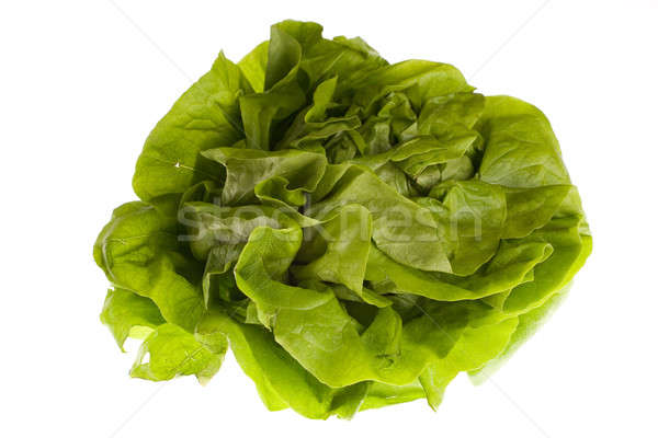 свежие салата белый текстуры зеленый обеда Сток-фото © arcoss