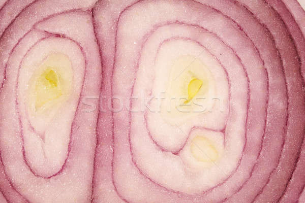 onion macro Stock photo © arcoss
