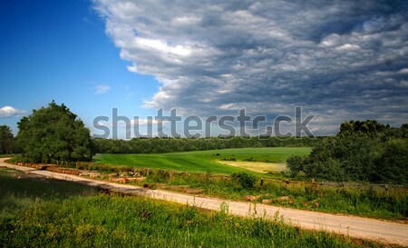 Land Stock photo © arcoss