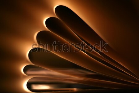 Beautiful background Stock photo © arcoss