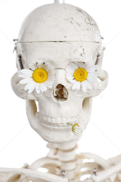 Flower and Human skull  concept Stock photo © arcoss