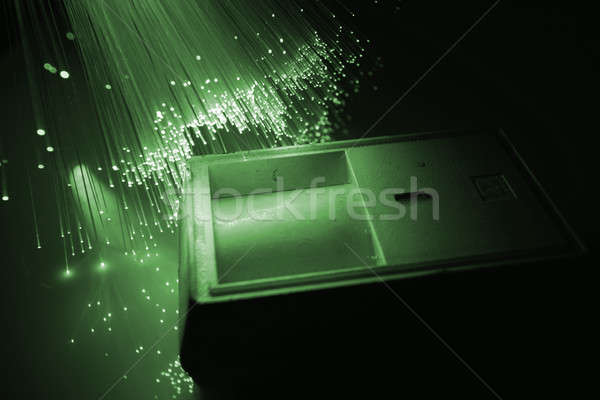 Fibra óptico negocios seguridad bloqueo acero Foto stock © arcoss