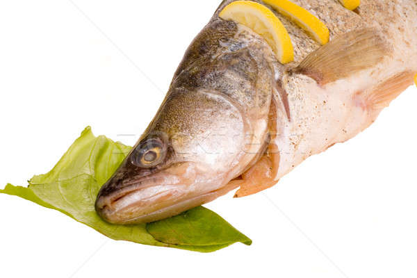 Fisch isoliert Essen Medizin Abendessen Platte Stock foto © arcoss