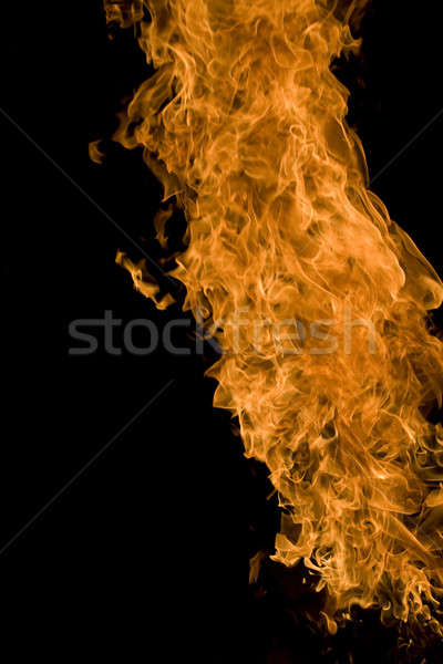fire and flames on a black background Stock photo © arcoss