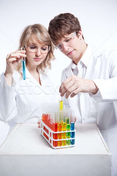 Trabalhando cientistas tiro masculino feminino caucasiano Foto stock © aremafoto