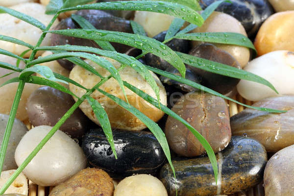 Foto stock: Zen · piedras · hojas · de · palma · naturaleza · piedra · bambú