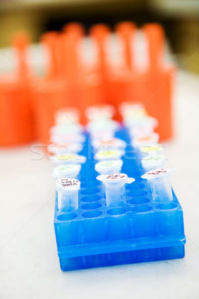 Laboratorium shot DNA medycznych nauki Zdjęcia stock © aremafoto