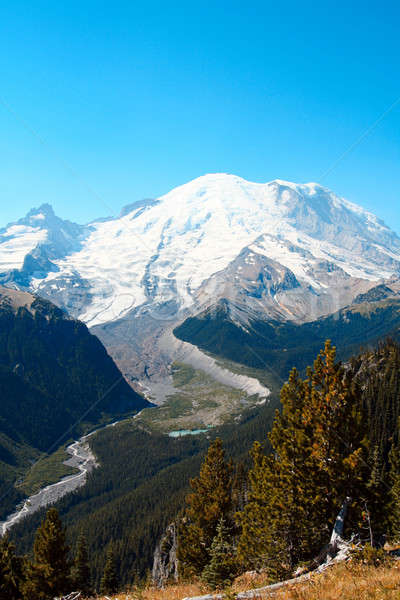 Mt. Rainier Stock photo © aremafoto