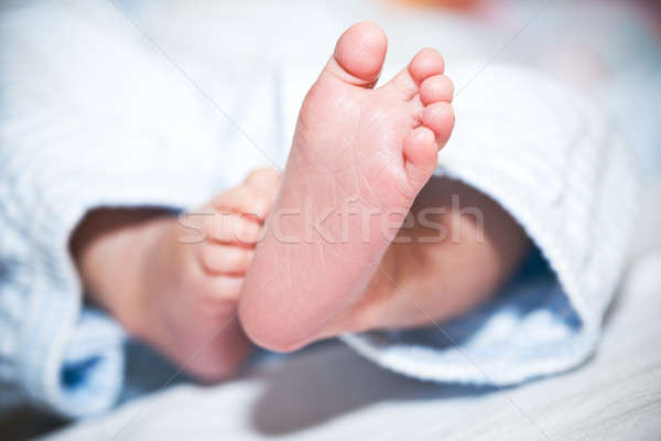 Newborn baby feet Stock photo © aremafoto