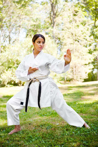 Asiatic karate shot femeie fată Imagine de stoc © aremafoto