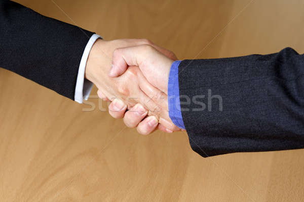Business hand shake Stock photo © aremafoto