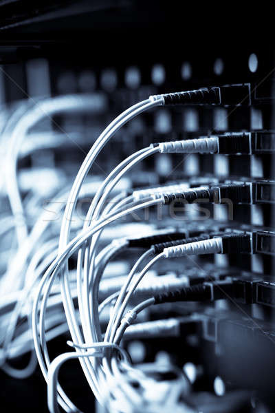 сеть выстрел кабелей центр обработки данных бизнеса компьютер Сток-фото © aremafoto