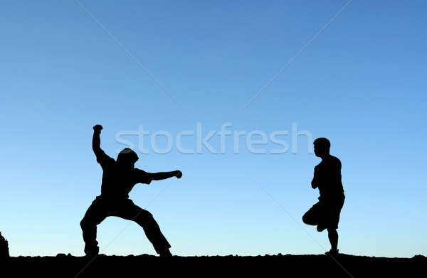 Arte martiale doi barbati siluetă sportiv natură Imagine de stoc © aremafoto