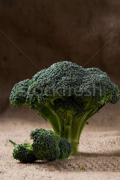 Broccoli Stock photo © aremafoto