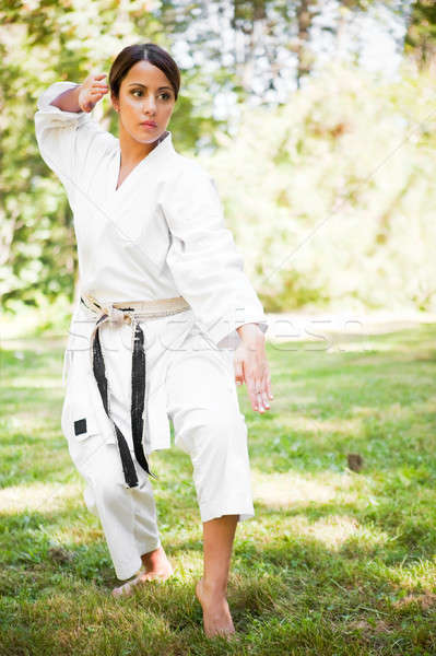 Stock fotó: ázsiai · gyakorol · karate · lövés · nő · lány