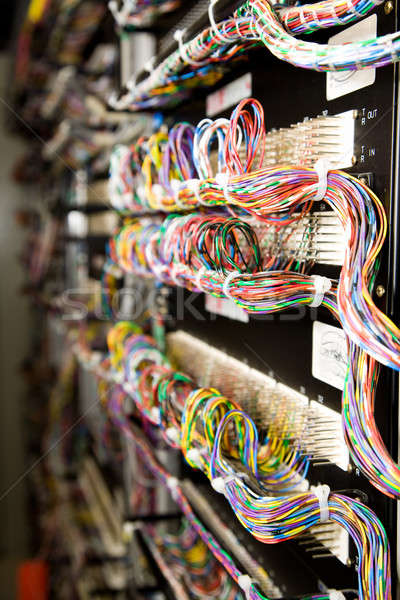 Netwerk hardware rack computer kat communicatie Stockfoto © aremafoto