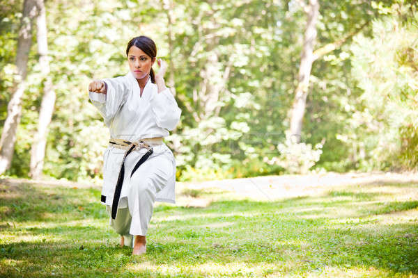 Stockfoto: Asian · oefenen · karate · shot · vrouw · meisje